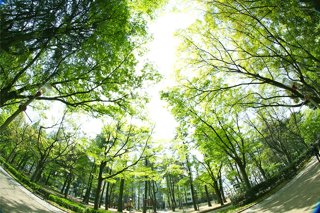 風景